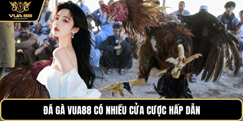 Đá Gà VUA88 có nhiều cửa cược hấp dẫn