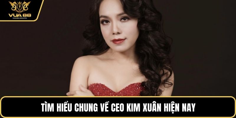 Tìm hiểu chung về CEO Kim Xuân hiện nay